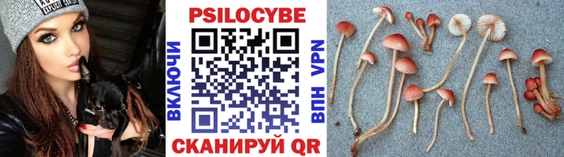 OMG рабочий сайт  закладки  Покровск  Псилоцибиновые грибы Cubensis 